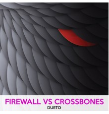 Firewall and Crossbones - DUETO