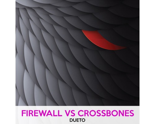 Firewall and Crossbones - DUETO