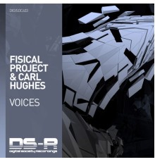 Fisical Project & Carl Hughes - Voices