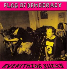 Flag of Democracy - Everything Sucks