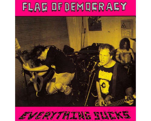 Flag of Democracy - Everything Sucks