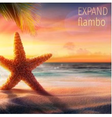 Flambo - Expand