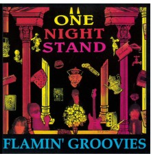 Flamin' Groovies - One Night Stand