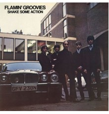 Flamin' Groovies - Shake Some Action