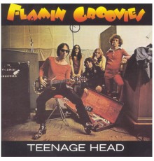 Flamin Groovies - Teenage Head