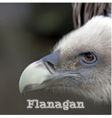 Flanagan - Flanagan