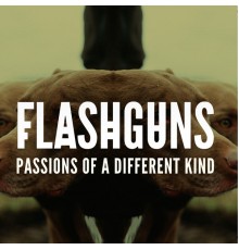 Flashguns - Passions of a Different Kind