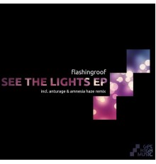 Flashingroof - See the Lights