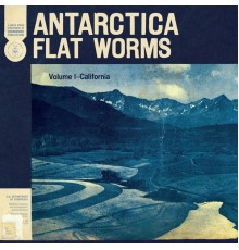 Flat Worms - Antarctica