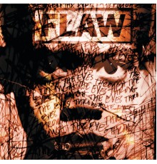 Flaw - Through The Eyes