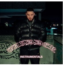 Fler - WIDDER (FINAL EDITION / INSTRUMENTALS)