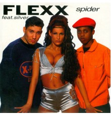 Flexx, Silver - Spider