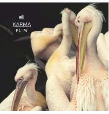 Flim - Karma