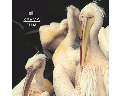 Flim - Karma