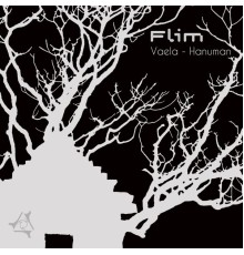 Flim - Vaela / Hanuman (Original Mix)