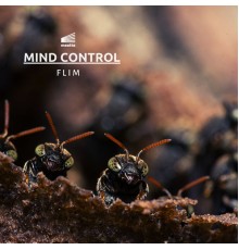 Flim - Mind Control