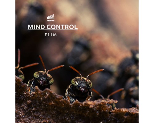 Flim - Mind Control