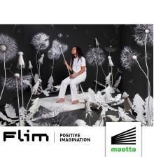 Flim - Positive Imagination