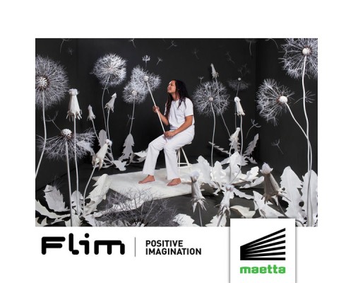 Flim - Positive Imagination