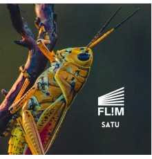 Flim - Satu