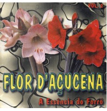 Flor D' Açucena - A Essência do Forró