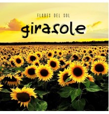 Flores Del Sol - Girasole