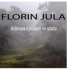 Florin Jula - Adesea cautam in viata