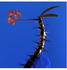 Flume - Skin Companion EP II