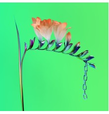 Flume - Skin Companion EP I