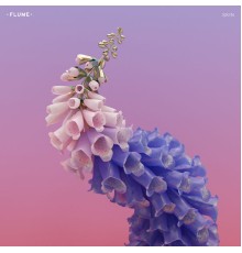 Flume - Skin