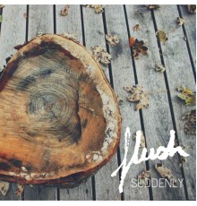 Flush - Suddenly