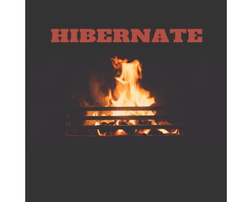 Fly Boyz - Hibernate