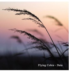 Flying Cobra - Data