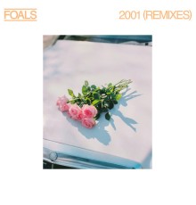 Foals - 2001  (Remixes)