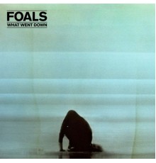 Foals - What Went Down