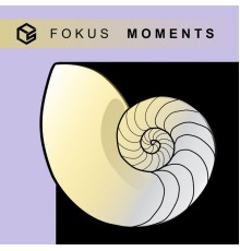 Fokus - Moments (Original Mix)