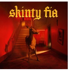 Fontaines D.C. - Skinty Fia