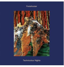 Footshooter - Footshooter / Technicolour Nights