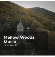 Forest Sounds, Ambient Forest, Rainforest Sounds - Mellow Woods Music