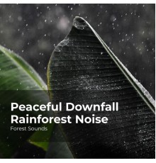 Forest Sounds, Ambient Forest, Rainforest Sounds - Peaceful Downfall Rainforest Noise