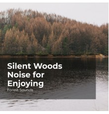Forest Sounds, Ambient Forest, Rainforest Sounds - Silent Woods Noise for Enjoying
