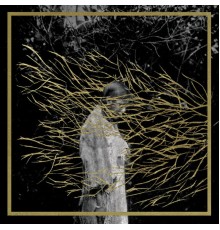 Forest Swords - Engravings