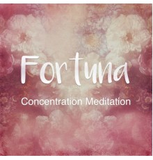 Fortuna - Concentration Meditation