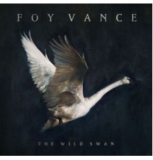 Foy Vance - The Wild Swan