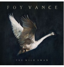 Foy Vance - The Wild Swan