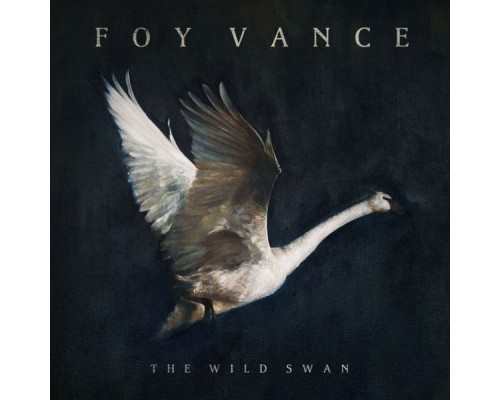 Foy Vance - The Wild Swan