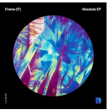 Frame (IT) - Absolute