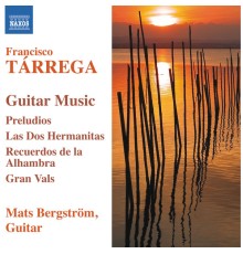 Francisco Tarrega - Musique pour guitare