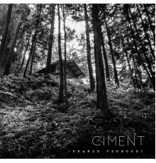 Franck Vigroux - Ciment