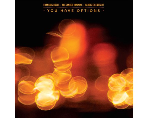 Francois Houle - You Have Options